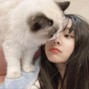 rui - Koharu