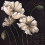 omn4sea - flower