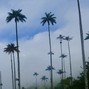 crawlbeatsbang - colombian traffic