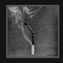 Bango Grim - Talk Back