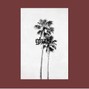 GHATS - No Wave