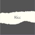 Ricc Beats