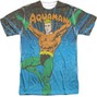 beam theory - Aquaman