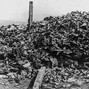 notafraidanymore - Mound Of The Dead 