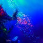 DAEDRIC PRINCE - aquamarines