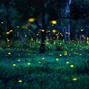 DAEDRIC PRINCE - fireflies