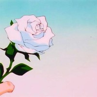 rarerose