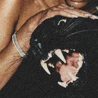 brxke [on hold]