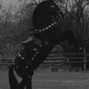brxke [on hold] - rodeo