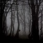 NicoHyer - Forest