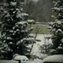 NicoHyer - Tree