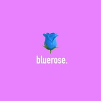 bluerose.