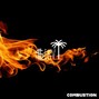 SEKVI - Combustion