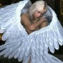 tayoloxs - Angel!