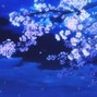 ZaytheProducer - All alone ( Prod.by ZaytheProducer )