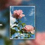 Swixxo - Flowers | Iann Dior Type Beat