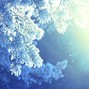 Kyokusei - Frost SIlver