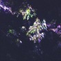 MIKEDMN. - no worries.