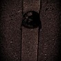 insendia - no going back