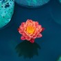 drhklbeats - Lotus (Asian beautiful drill beat)