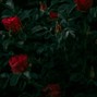 anishnepster - For you - Anish Nepster