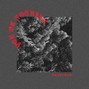 paystrup - YOU OR NOTHING