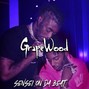 senseiondabeat - Grapewood
