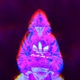 Mellobeast - last minute
