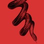 edy gara - SNAKE