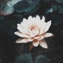 he(art) - afterhours