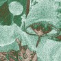 hahaJayy - @prod.hahaJayy | "COMPASS" | Key: E