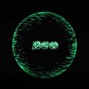 YUNKZ - NEO