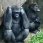 EARLMIKEMANE - GORILLA TALK