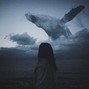  sxveme  - illusion