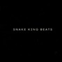 snakekingbeats - CHANGES (BEAT SWITCH TYPE BEAT)