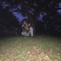 DMT Records - HEAVY (prod. dmtdaddy)