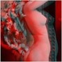 burden - gossamer