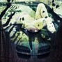 spilledoxys - zipped prod spilledoxys