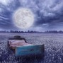 sneiv daed - Moonlight (lullaby)