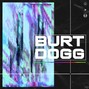 Burt Dogg - forensics w/ lifted