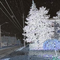 February