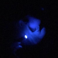slink⋆