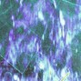 Byte - ffa