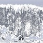 Bomar - Winter