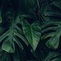 [s.beats] - exquisite