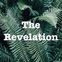 TheRevelation - Pulse