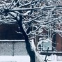 biirds - snow wave