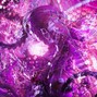 leakkclub - Relocate