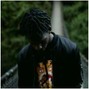 LORES - Rodeo