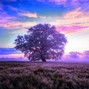 eqa  - Nature